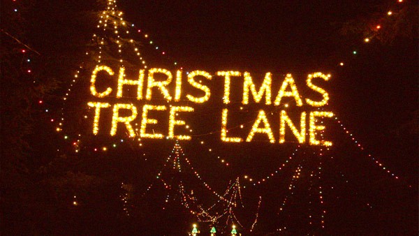 Best Things to Do in Fresno California Dustin Heiner Christmas Tree Lane