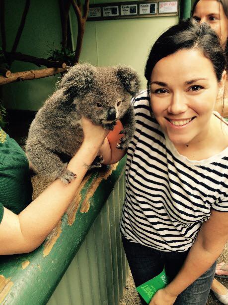 Best Things to Do in Sydney Australia Jen McDermott koala at Featherdale Wildlife Park