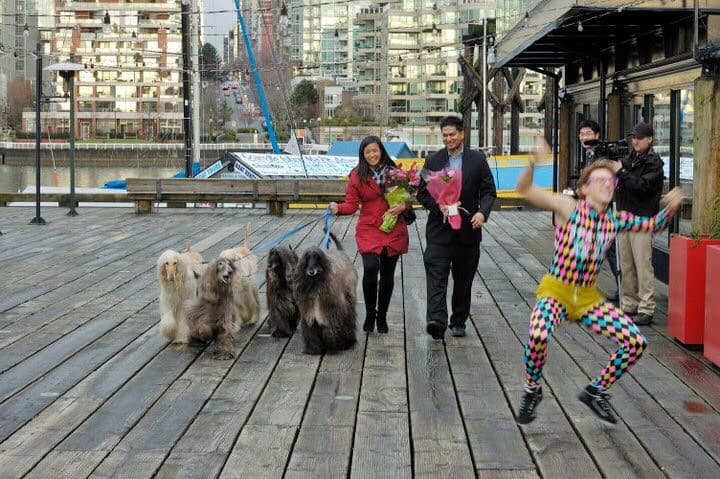 Best Things to Do in Vancouver Canada Ricky Shetty with wife walking dogs on pier Granville Island