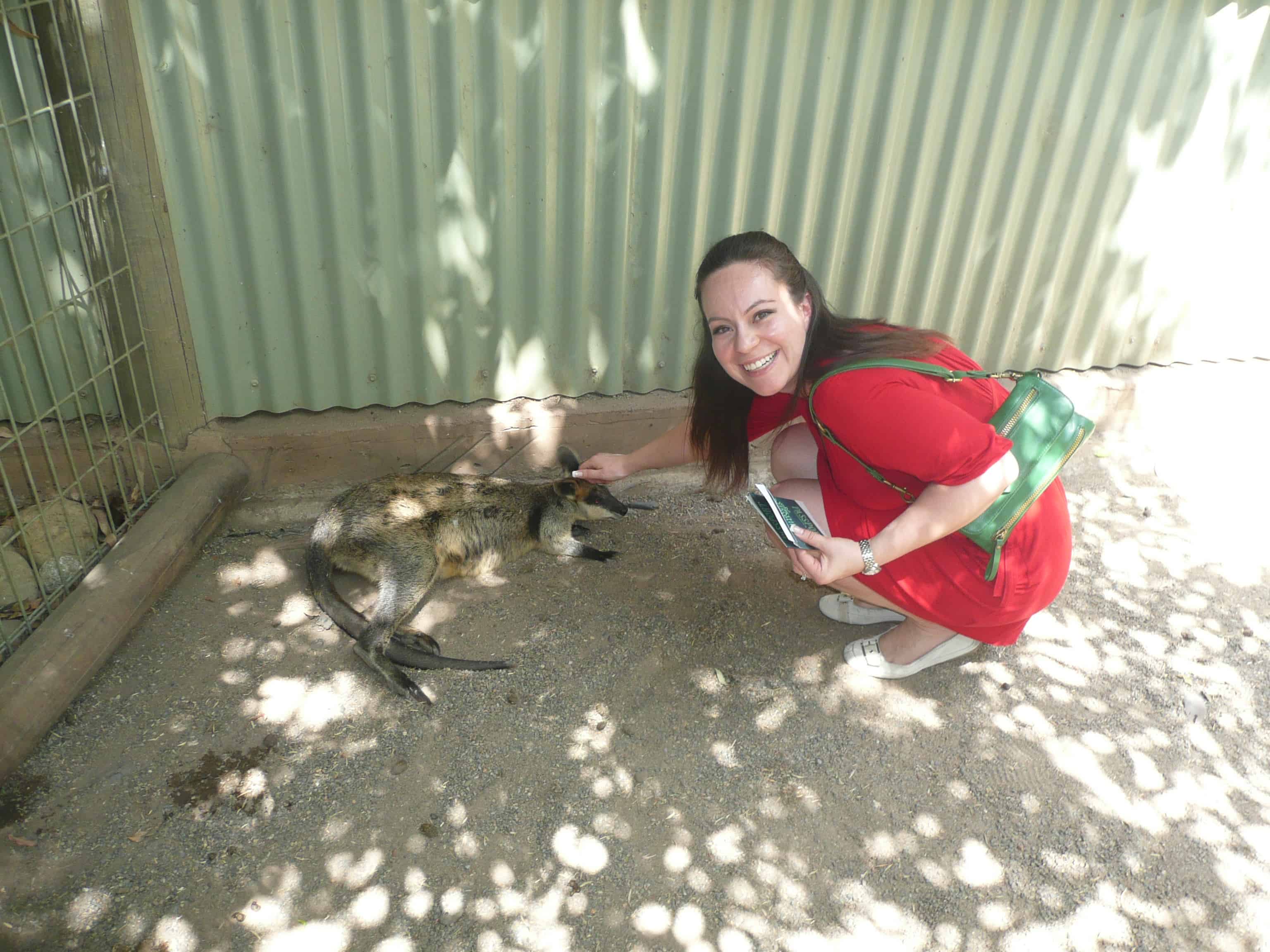 Best Things to Do in Sydney Australia Featherdale Wildlife Park