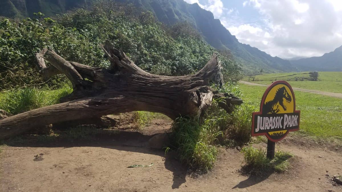 Best Things to do in Kailua Hawaii Dave Pere Kualoa Ranch movie tour Jurassic Park