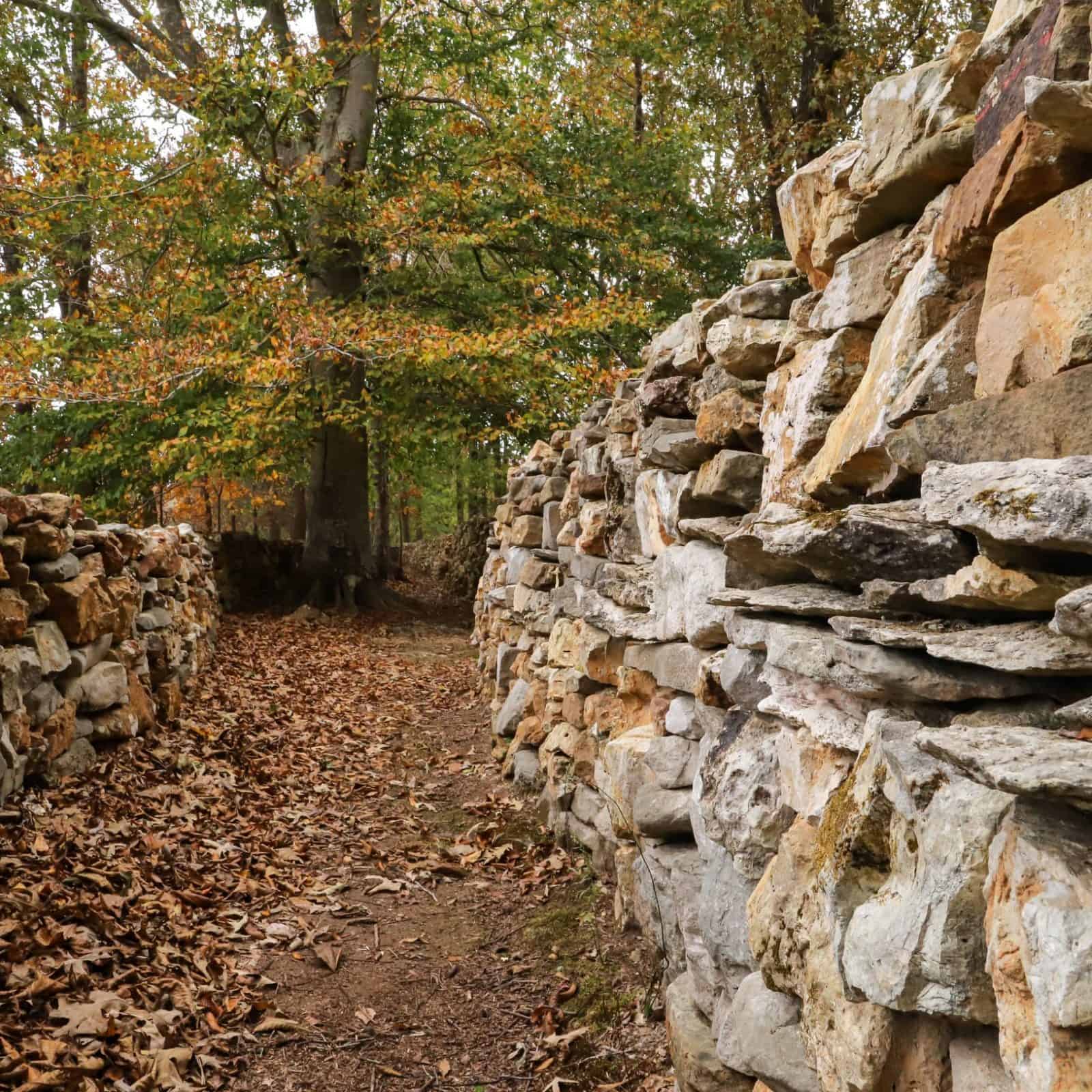 Hot Air Balloon Festival, Tom's Wall & The Princess Theatre in