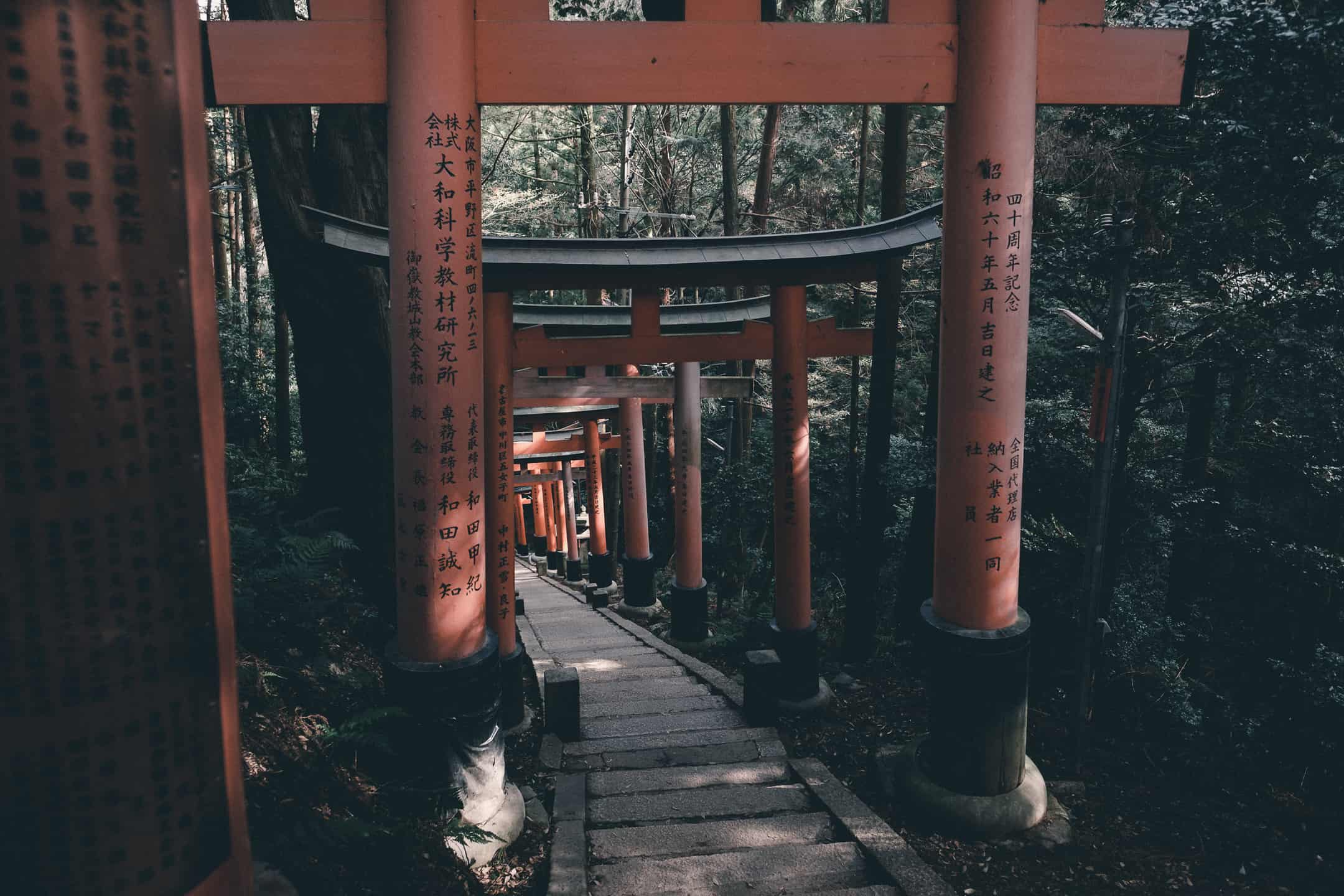 Best things to do in Kyoto Japan - Taro Moberly - Fushimi Inari hike