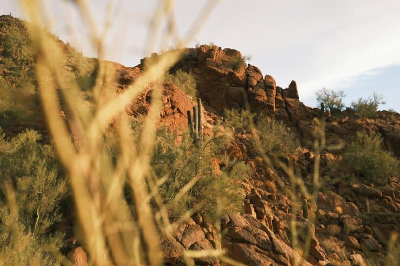 Phoenix Arizona podcast episodes - Camelback Mountain by Drew Walker on Unsplash