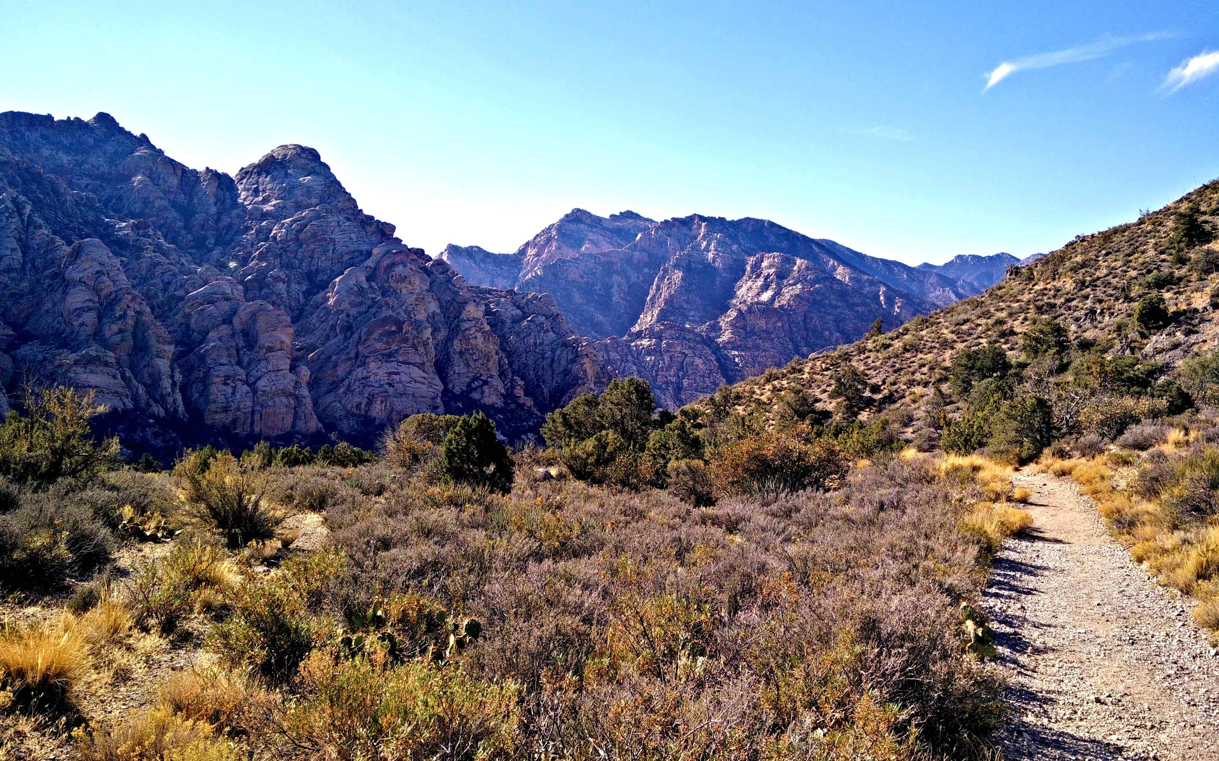 Best things to do in Las Vegas Nevada Shawn Coomer Red Rock Hike - La Madre Springs October 25 2014