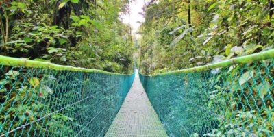 Sky Walk Hanging Bridges