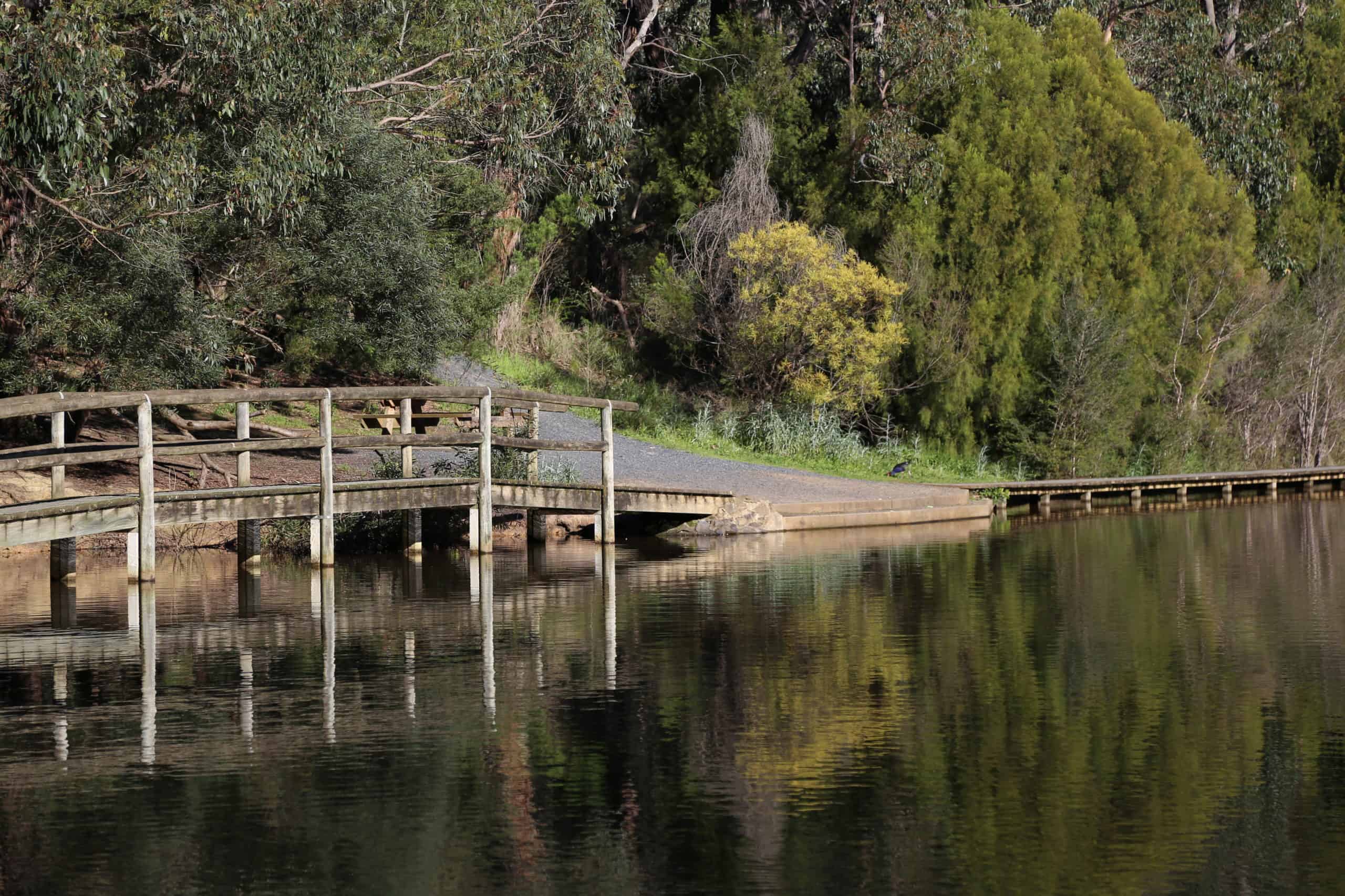 Best things to do in Latrobe Valley Australia Tegan Dawson - Edward Hunter Reserve