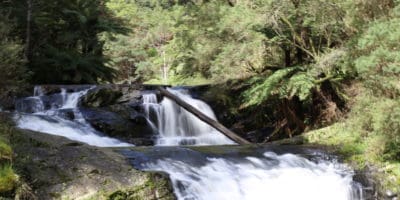 Best things to do in Latrobe Valley Australia Tegan Dawson - Morwell River Falls