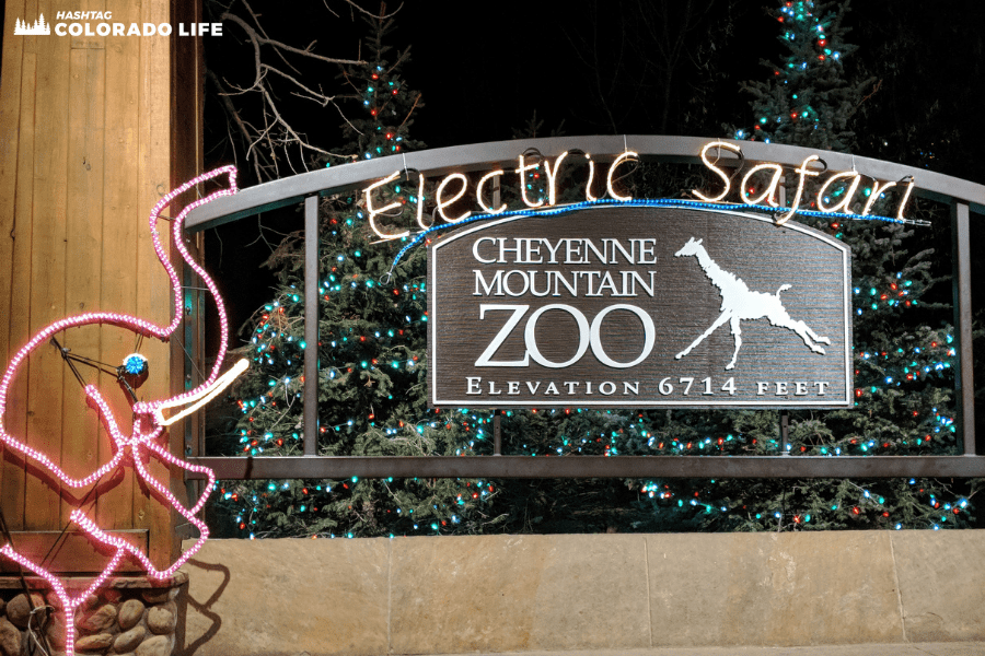 Best things to do in Colorado Springs Colorado - Carrie Smith Nicholson - cheyenne mountain zoo - electric safari