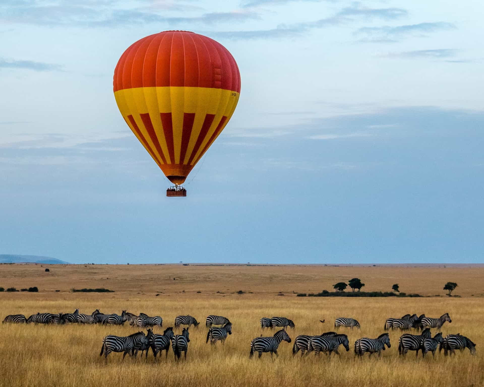 Best things to do in Nairobi Kenya - Robert Belle - Zebras and hot air ballon at Maasai Mara National Reserve by Sutirta Budiman on Unsplash