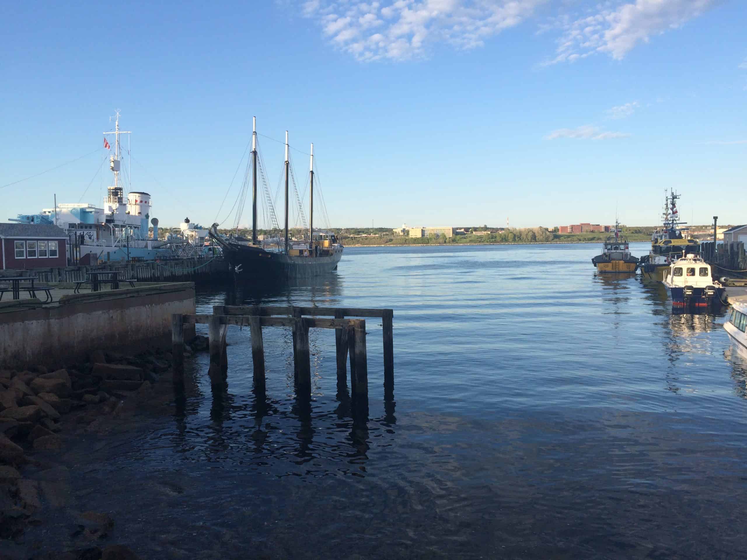 Best things to do in Halifax Canada - Nina Clapperton - Ships in Halifax Harbour