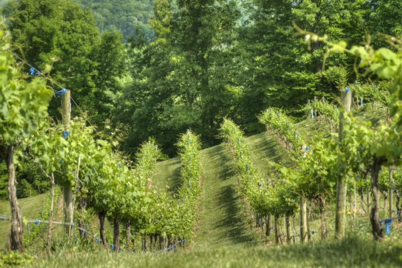 Barter Theatre, Virginia Creeper Trail & Muster Grounds in Abingdon ...