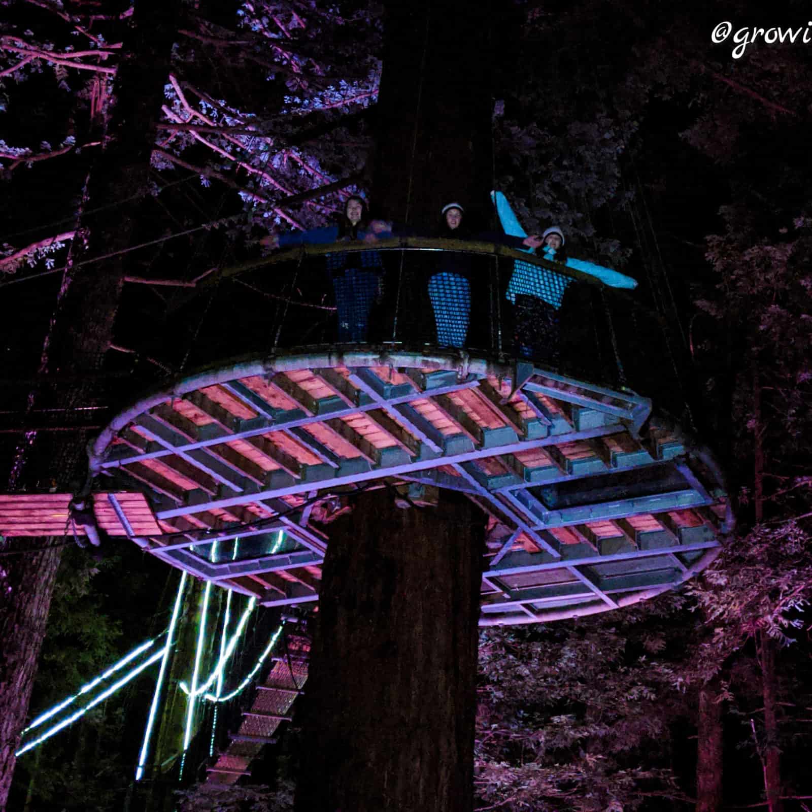 Pink Terraces, Buried Village & Treetop Walkway in Rotorua, New Zealand