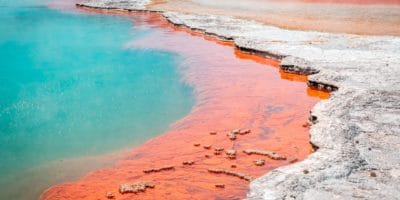 Best things to do in Rotorua New Zealand - Chantal Patton - Rotorua geyser and mud pools by Sebastien Goldberg on Unsplash