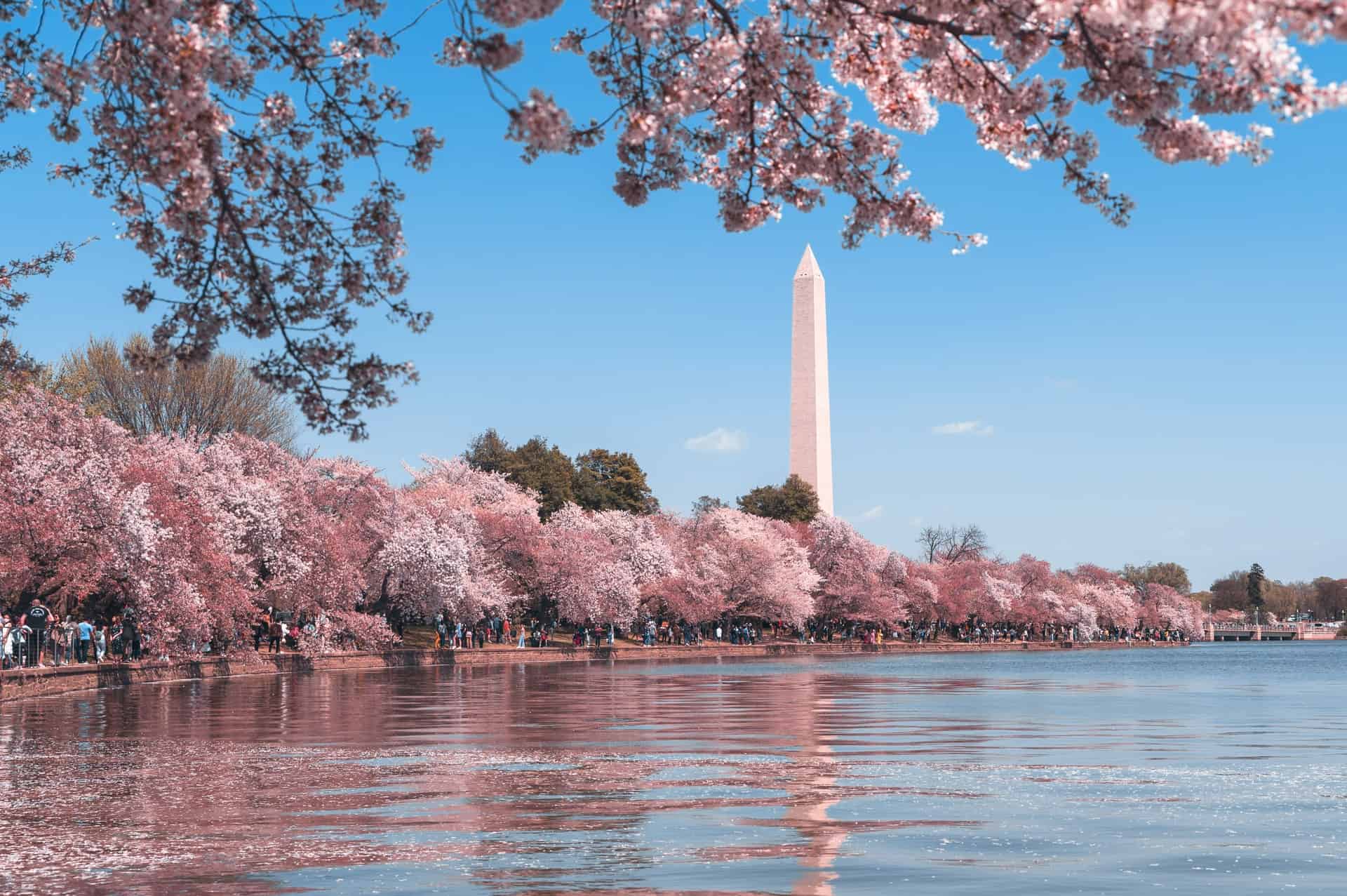 Best things to do in Washington DC - Mike Ferraco - Washington Monument view over the Tidal Basin by Andy He on Unsplash