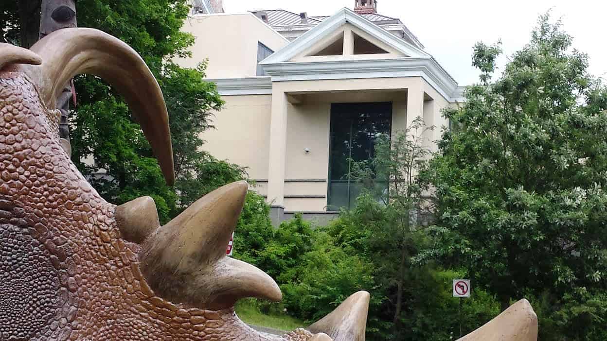 Best things to do in Greenwich Connecticut - Stasha Healy - Bruce Museum w dino