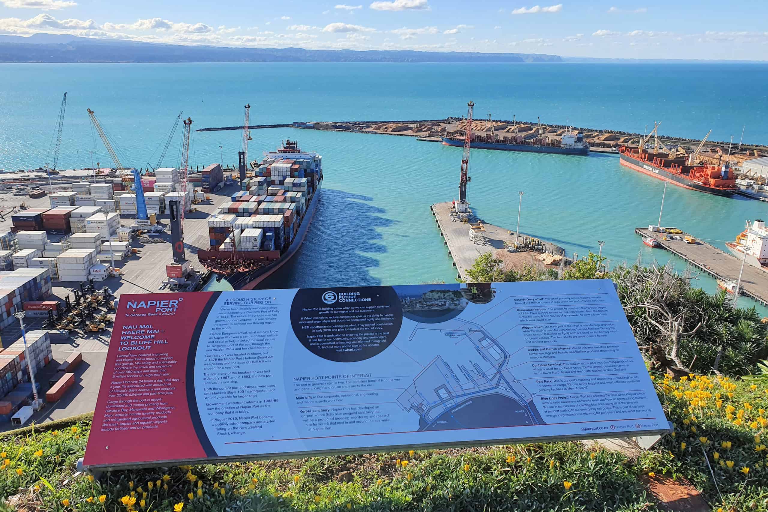 Best things to do in Napier New Zealand - Paul and Sandra - Napier overlooking port from Bluff Hill