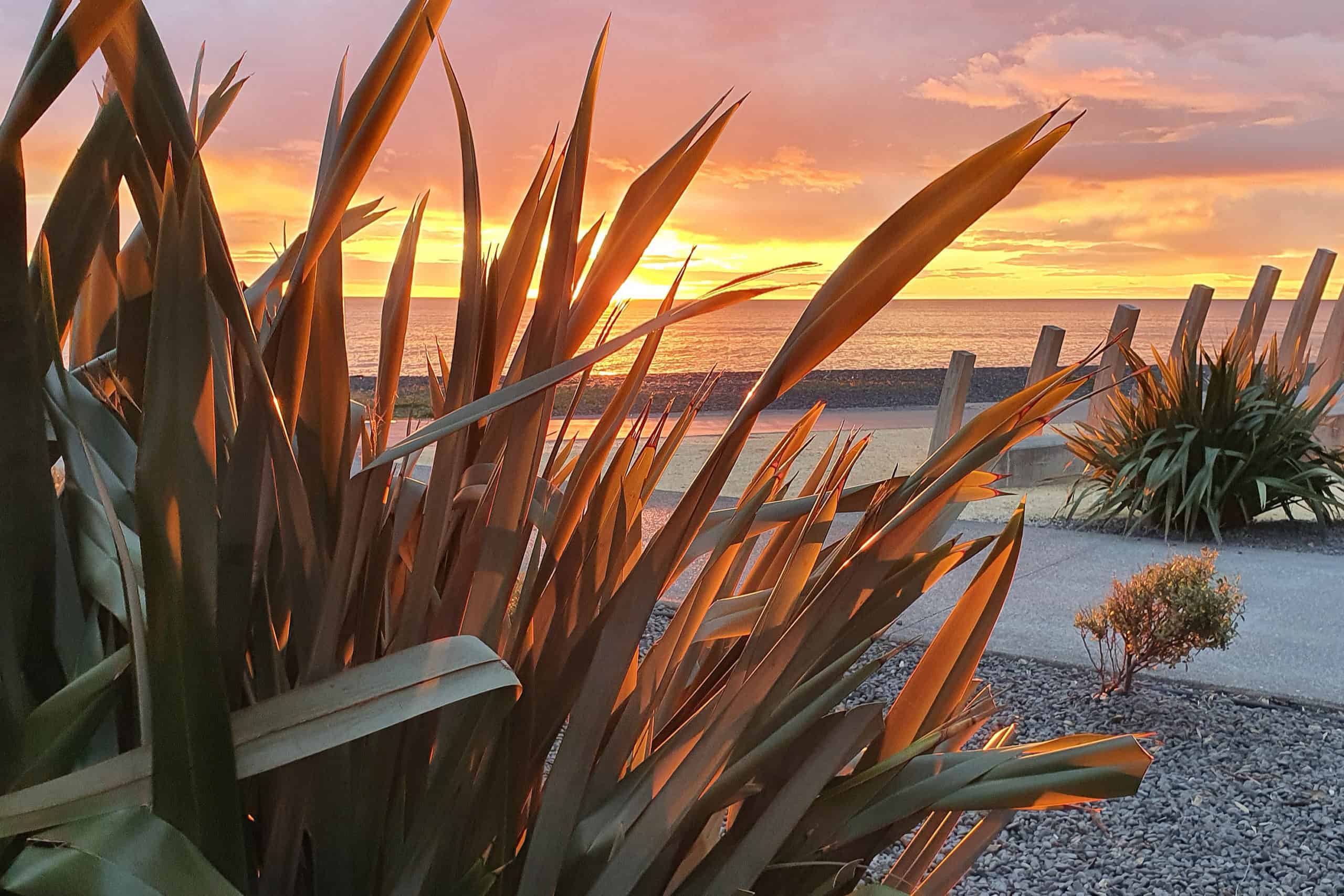 Best things to do in Napier New Zealand - Paul and Sandra - Pacific Ocean sunrise and Whalebone Sculpture