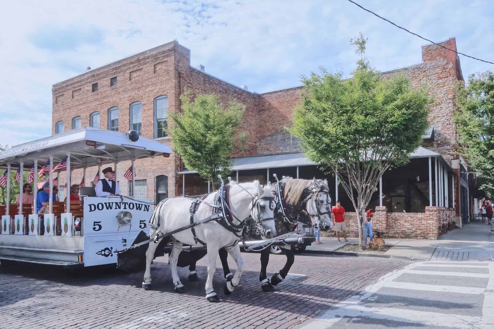 Best things to do in Wilmington NC - Pat Stoy - Horse drawn trolley by Wentao Liu on Unsplash