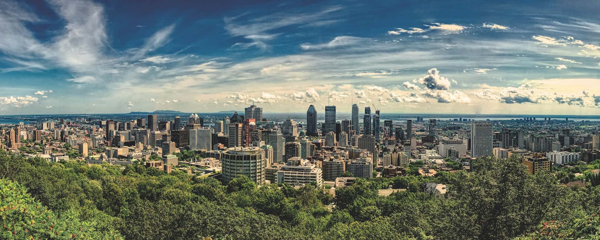 Best things to do in Montreal Canada - Craig Thorn - Montreal skyline from Mont Royal by Matthias Mullie on Unsplash