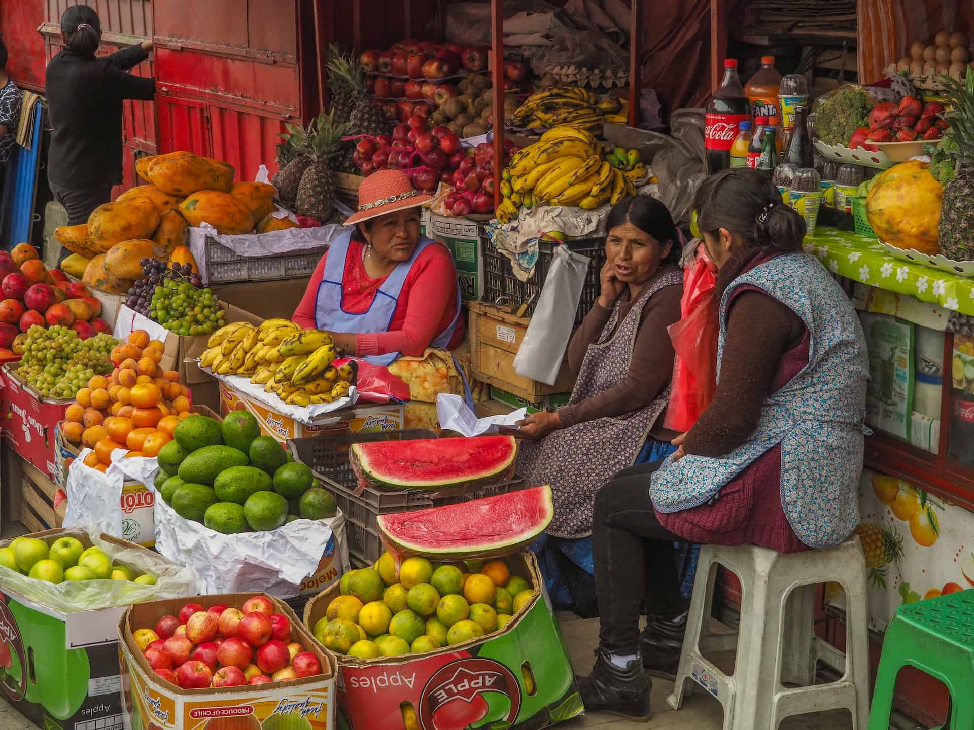 Best things to do in La Paz Bolivia - David Karamanis - Ladies selling fruit on a street shopping stand by Lesly Derksen on Unsplash