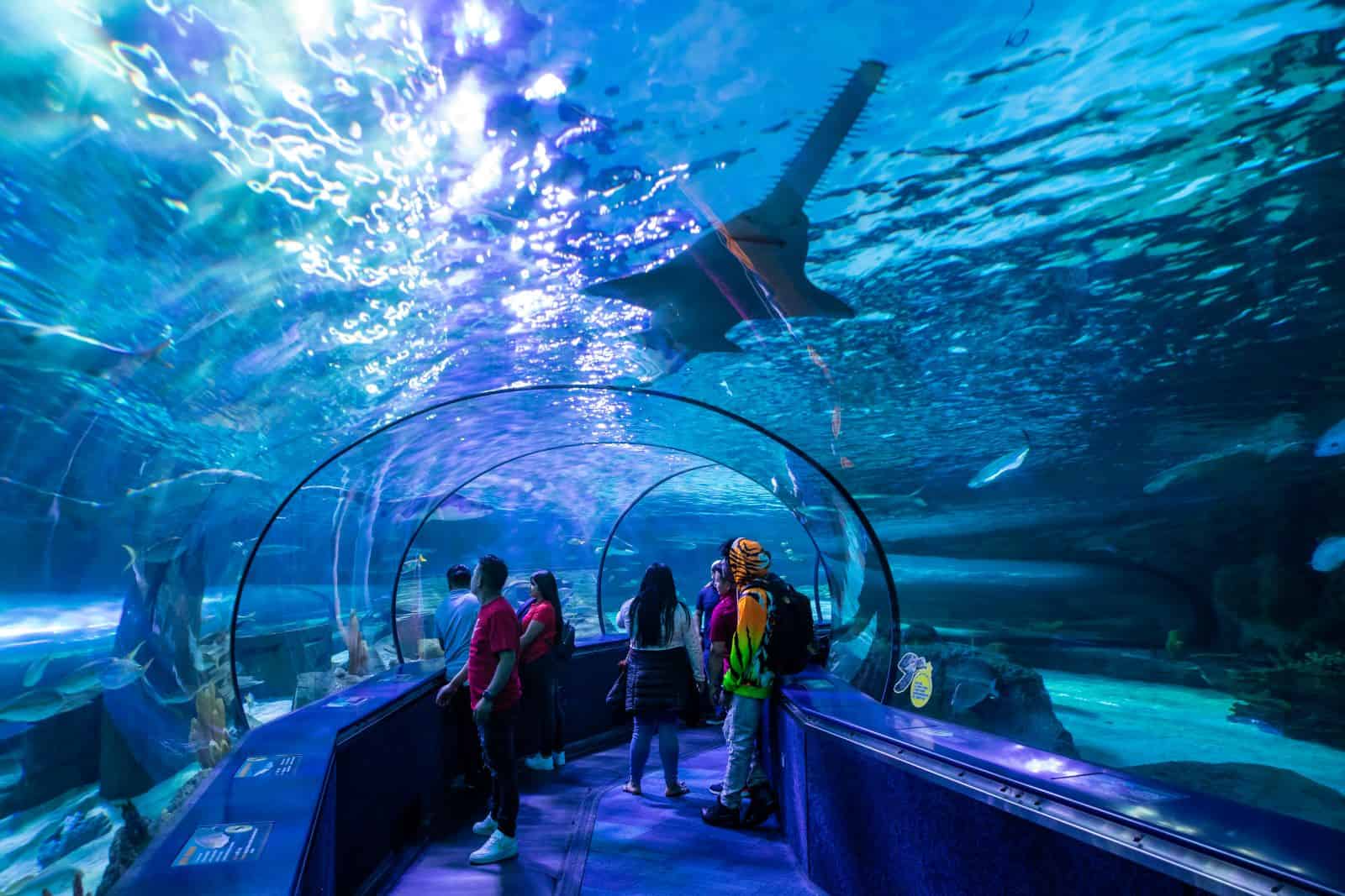 Ripleys Aquarium by Visit Myrtle Beach