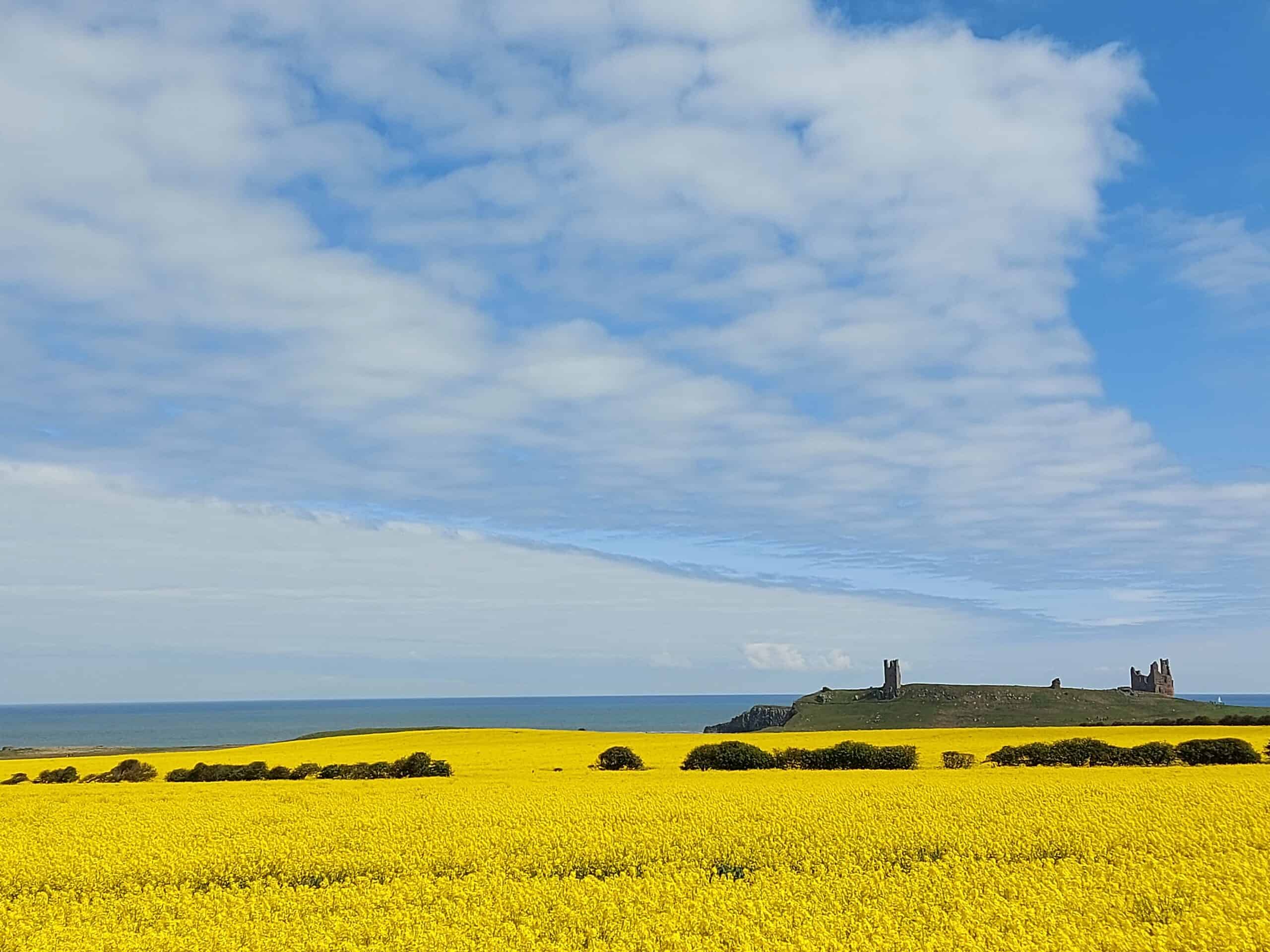 Best things to do in Newcastle UK - Paul McDougal - Dunstanburgh Castle and the nearby coast