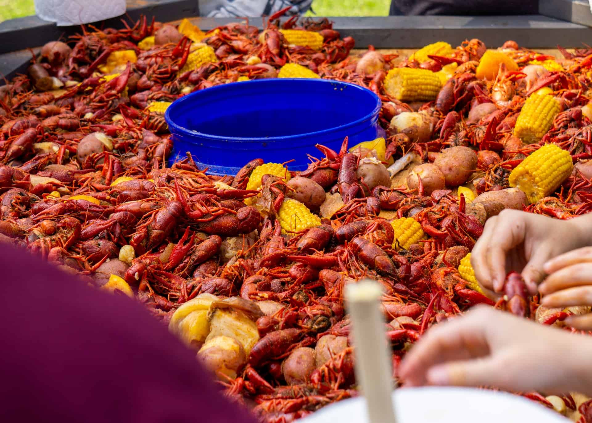 Best things to do in Lafayette Louisiana - Lane Fournerat - Crawfish Boil by Logan Ellzey on Unsplash