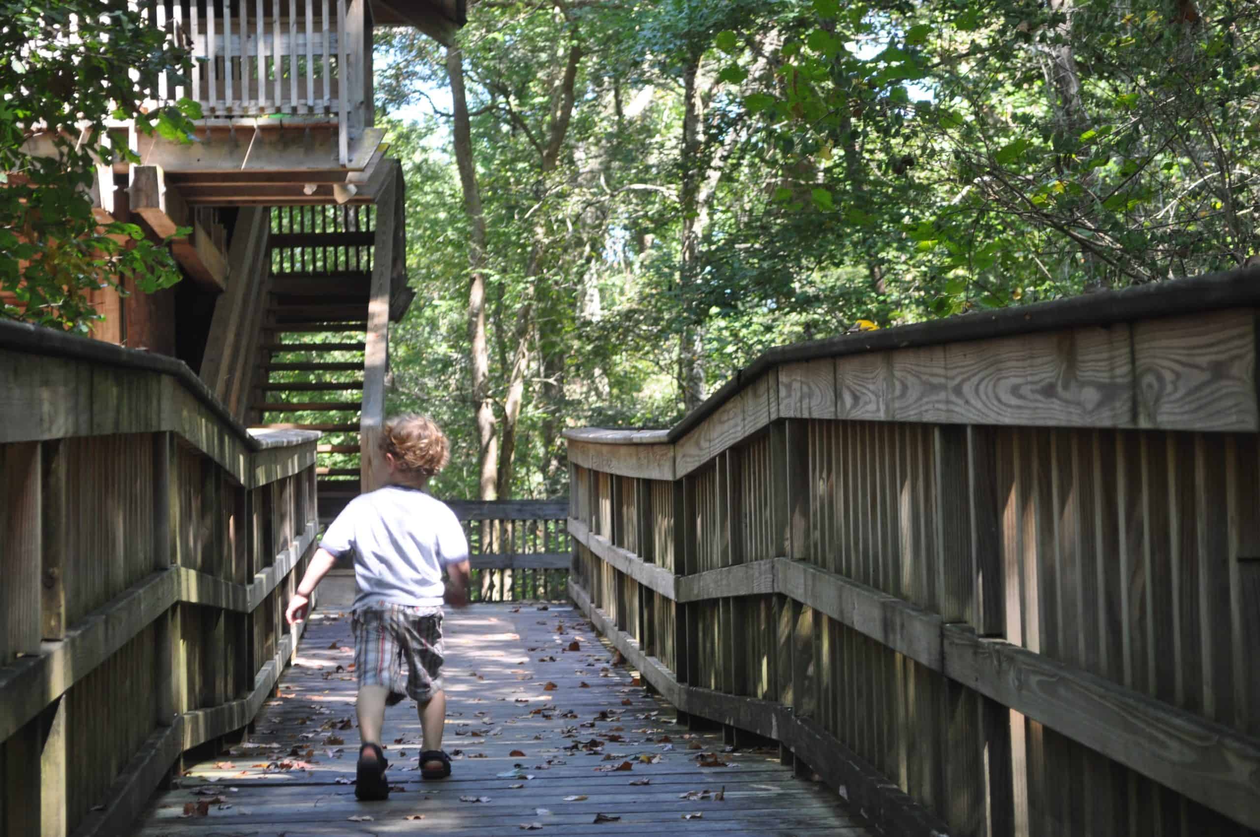Best things to do in Lafayette Louisiana - Lane Fournerat - Acadiana Park Nature Station