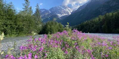 Best things to do in Anchorage Alaska - Chris Lundgren - Fireweed and Eagle River