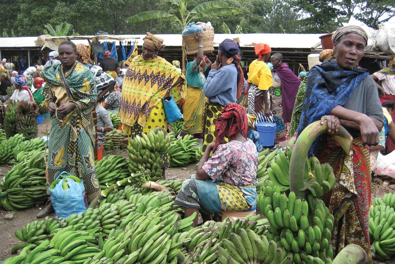 Best things to do in Arusha Tanzania - Scott Brills - A local market in Arusha