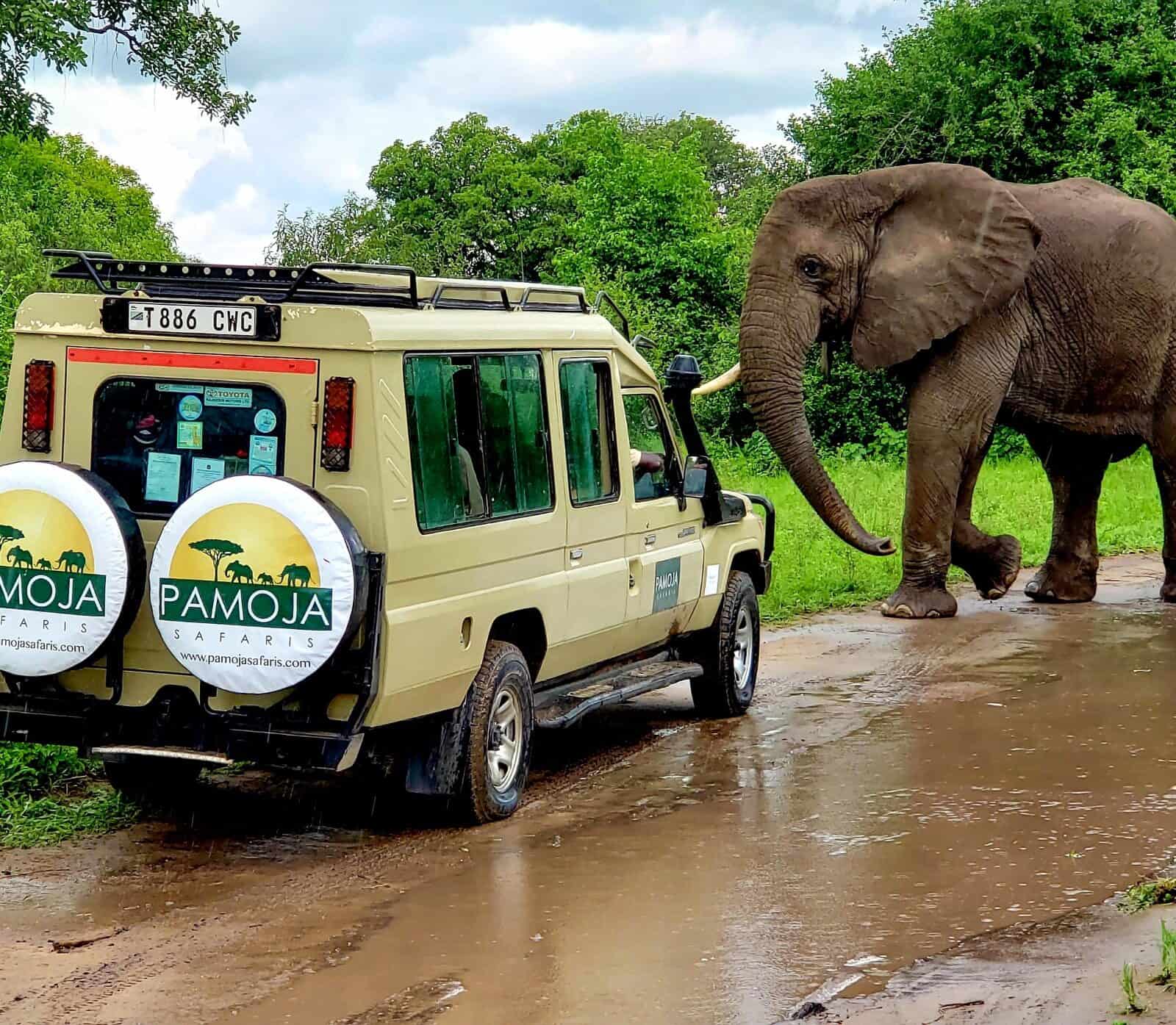 Serengeti National Park, Mt Meru & Ngorongoro Crater in Arusha