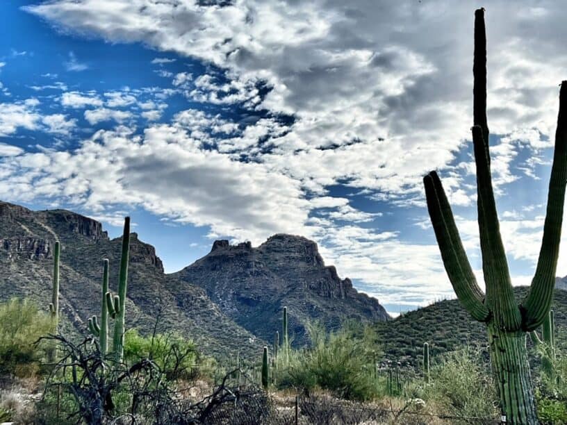 Best things to do in Tucson Arizona - Matt Miner - Bear Canyon