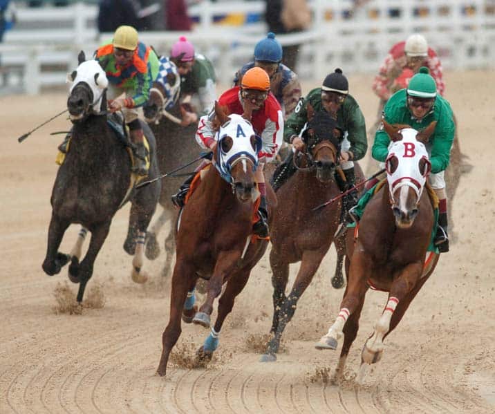 Horse racing at Delta Downs - Lake Charles CVB