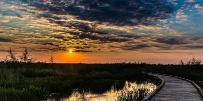 Best things to do in Lake Charles Louisiana - Shalisa Roland - Pintail Boardwalk by Brice Perrin - Lake Charles CVB