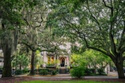 Best things to do in Savannah Georgia - Josh Calcanis - Historic home and moss-covered trees by Sunira Moses on Unsplash