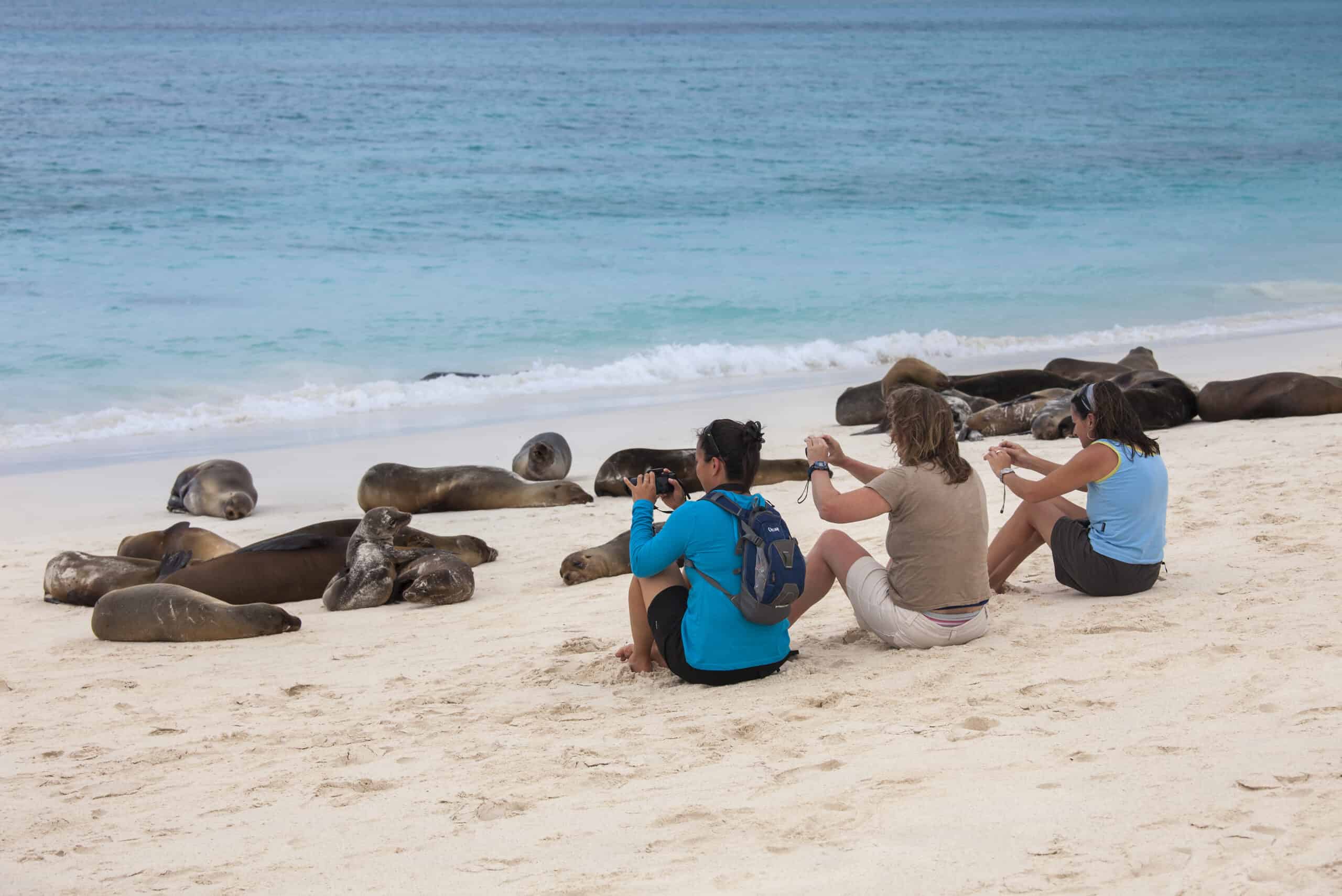 Best things to do on the Galapagos Islands Ecuador - Fernando Diez - Visitors taking photos of sea lions