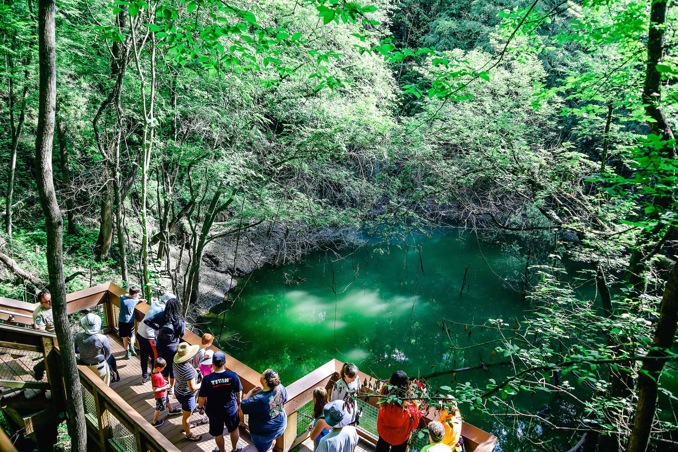 Best things to do in Gainesville Florida - Paulette Perhach - Devils Millhopper Geological State Park sinkhole tour