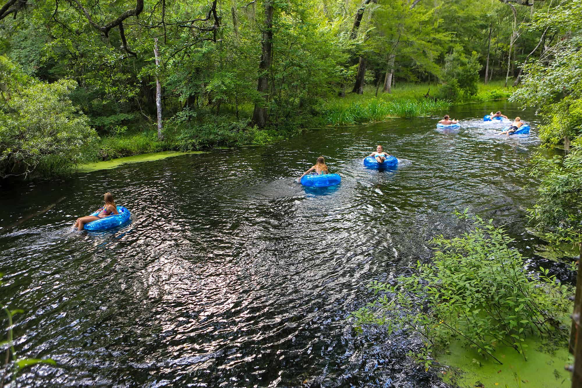 Best things to do in Gainesville Florida - Paulette Perhach - Tubing on the river at Ichetucknee Springs State Park