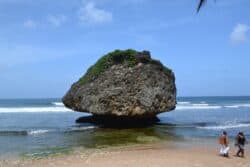 Best things to do in Christ Church Barbados - Rikimah Glymph - Mushroom Rock on Bathsheba Beach by Ian Dunlop on Pixabay