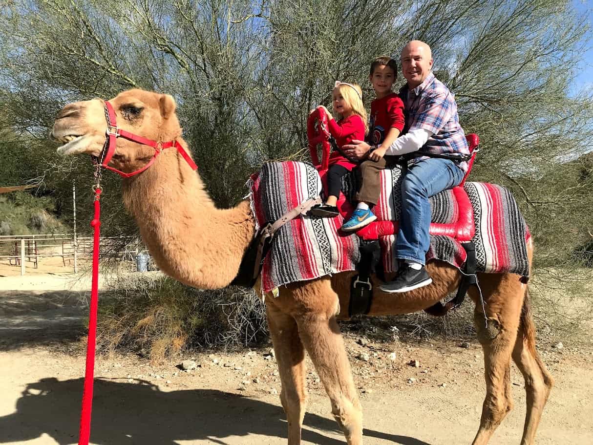 Best things to do in Palm Springs California - Adriane Berg - Riding a camel at The Living Desert