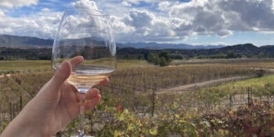 Best things to do in Valle de Guadalupe Mexico - Stephanie Antin - Enjoying a glass of wine overlooking the vineyard