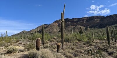 Best things to do in Phoenix Arizona Kelsa Dickey Usery Mountain regional hike2